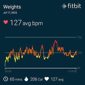 fitbitshare_1713583805