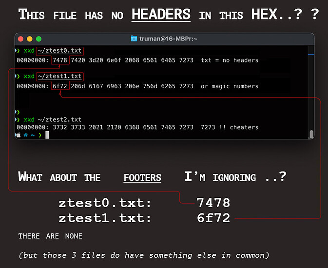 WENDELL - HEX TXT docs