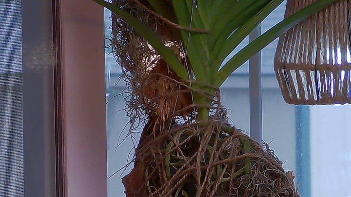 NBX_Snapshot_2024-01-06_11-35-54-843