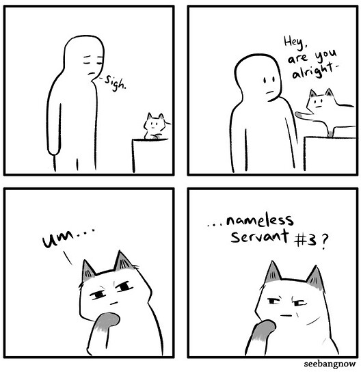 cats-1