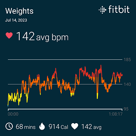fitbitshare_1464281411