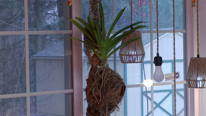 NBX_Snapshot_2024-01-06_11-32-32-224