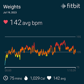 fitbitshare_7856789