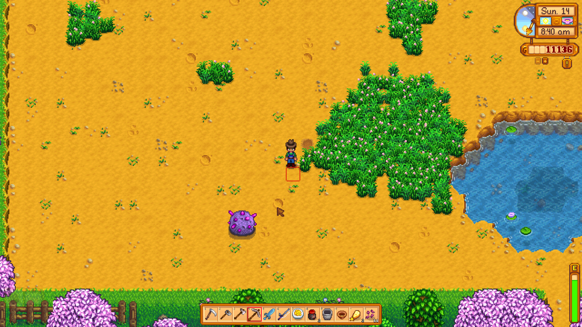 stardew valley dinosaur egg