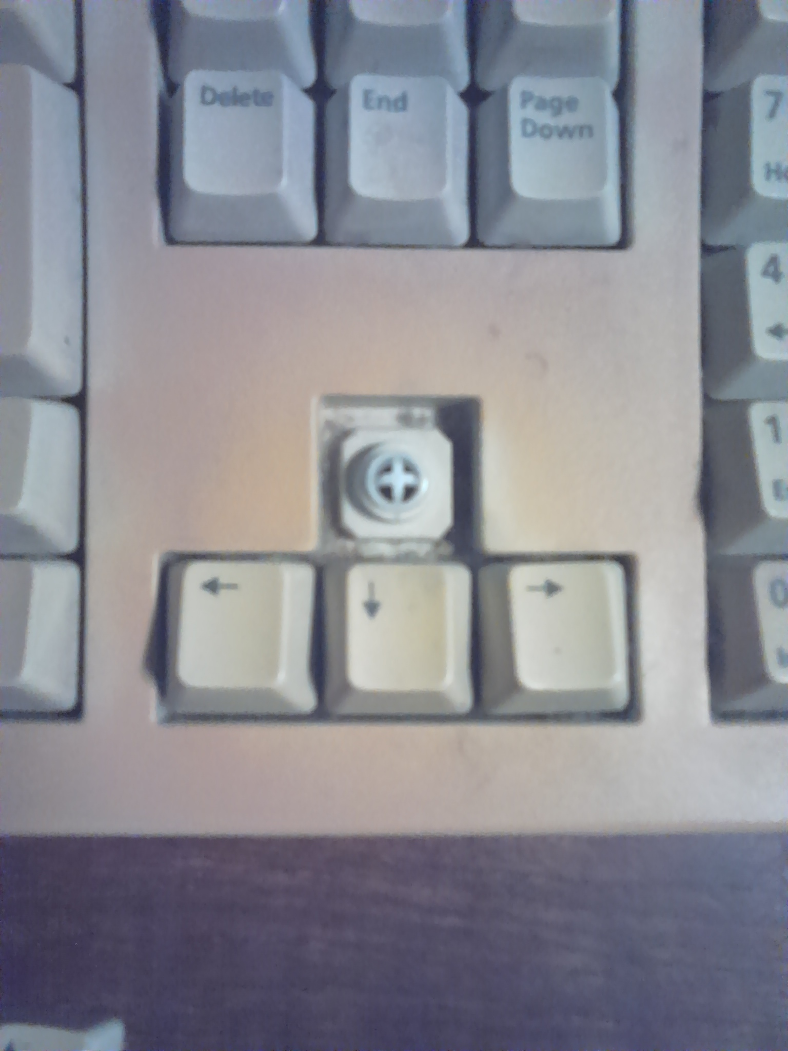So, I found two old keyboards today - Other Hardware - Level1Techs Forums