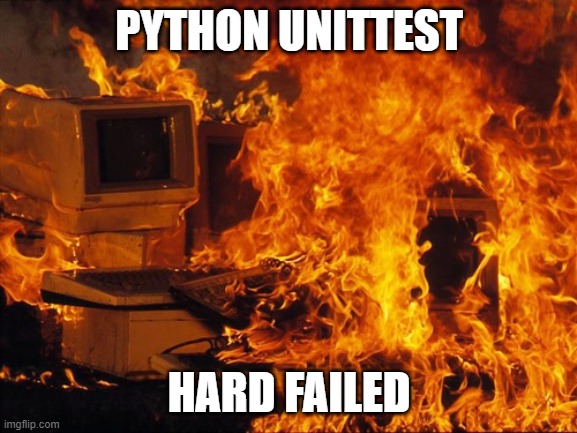 python unittest meme